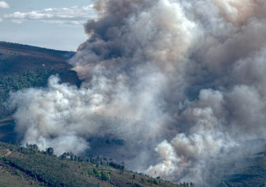 Incendi boschivi in Spagna e Francia