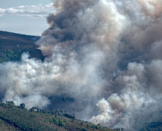 Incendio boschivo nella Gironda, Francia