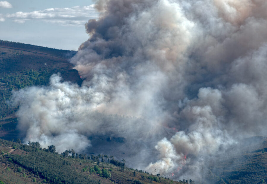 Incendio boschivo nella Gironda, Francia