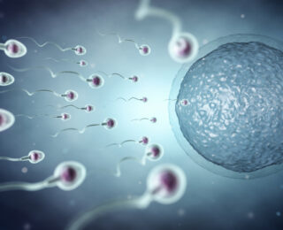 Studio sulla fertilità maschile e inquinamento atmosferico