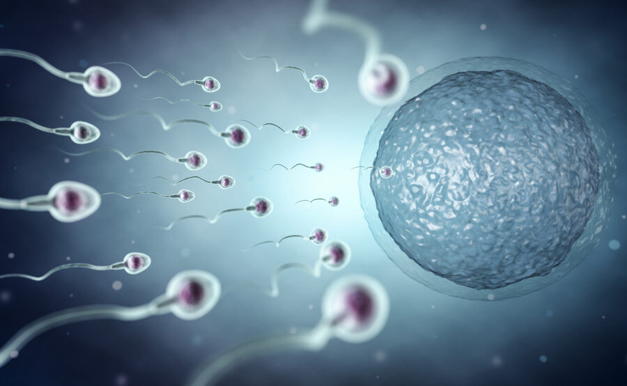 Studio sulla fertilità maschile e inquinamento atmosferico