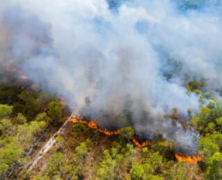 Incendi boschivi in Italia
