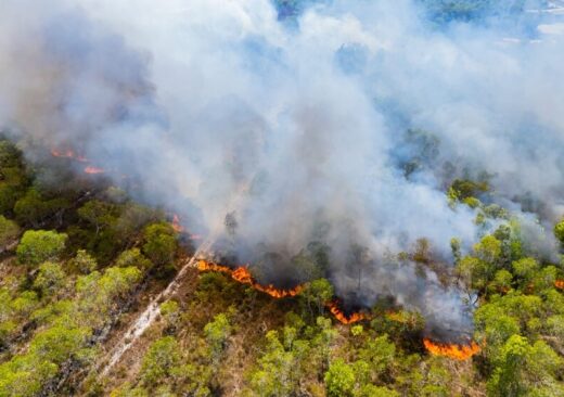 Incendi boschivi in Italia
