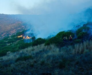 Interventi dei Vigili del Fuoco a Palermo per incendi