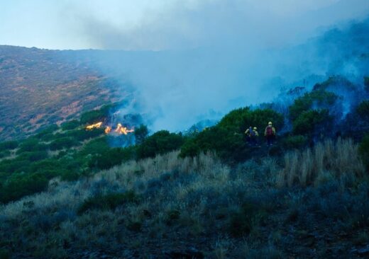 Interventi dei Vigili del Fuoco a Palermo per incendi