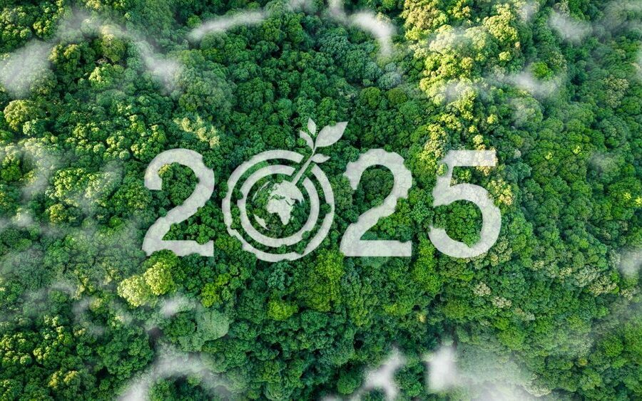 Bilancio di Sostenibilità 2025 Engineering