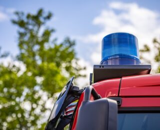 Salvataggio cucciolo di daino da parte dei vigili del fuoco
