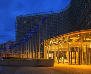 Commissione Europea e accesso minori alle reti sociali