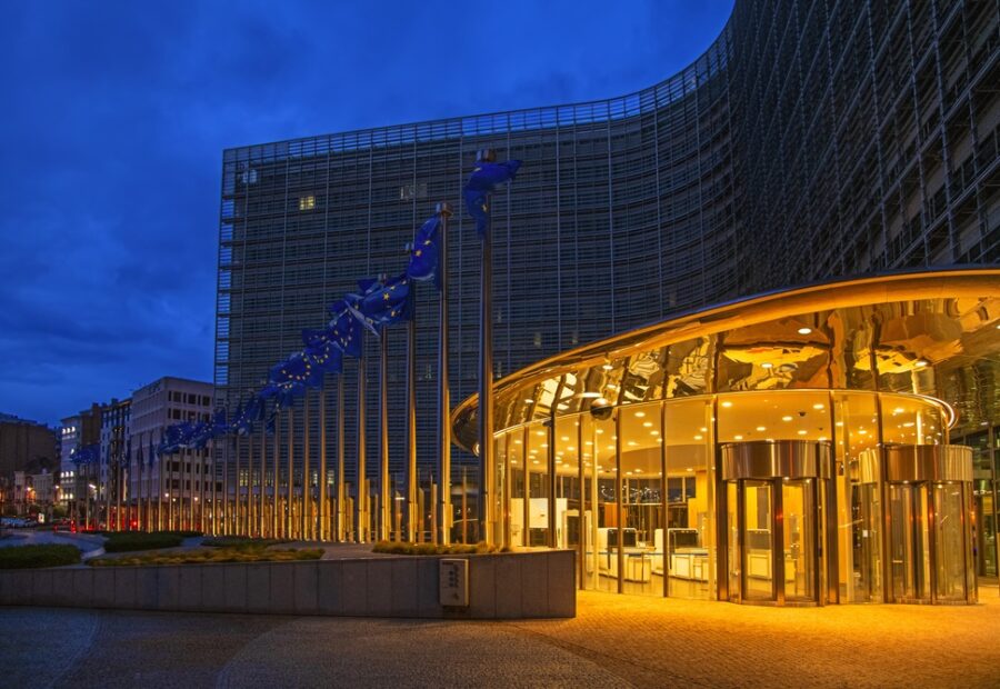 Commissione Europea e accesso minori alle reti sociali