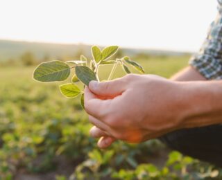 Logo di VINHOOD e grafica rappresentativa dell'innovazione nel settore alimentare