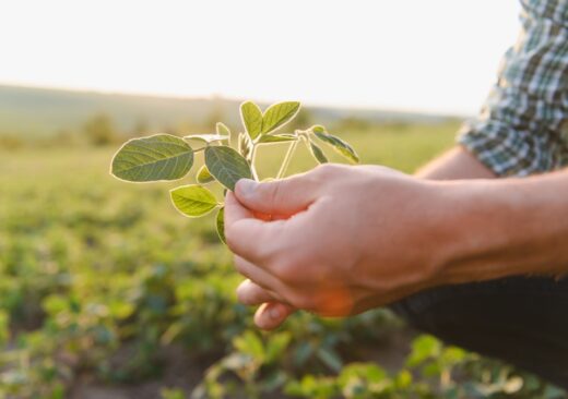 Logo di VINHOOD e grafica rappresentativa dell'innovazione nel settore alimentare