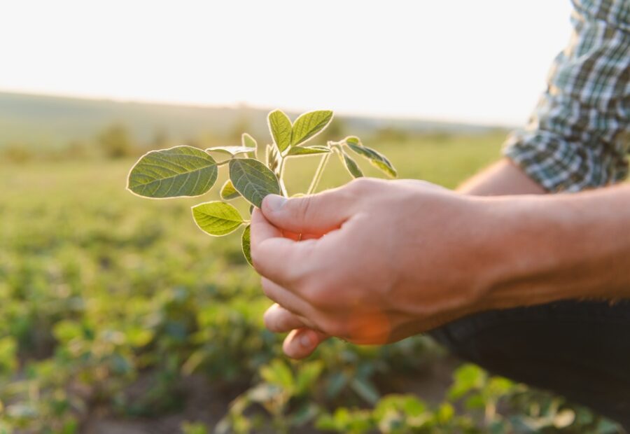 Logo di VINHOOD e grafica rappresentativa dell'innovazione nel settore alimentare
