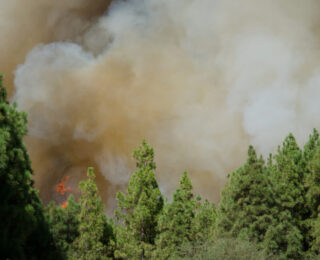 Incendi in Gironda