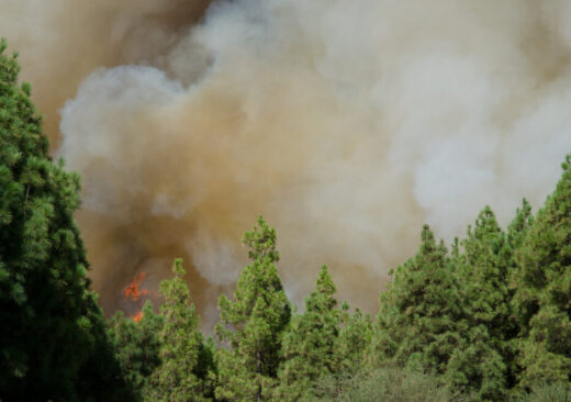 Incendi in Gironda
