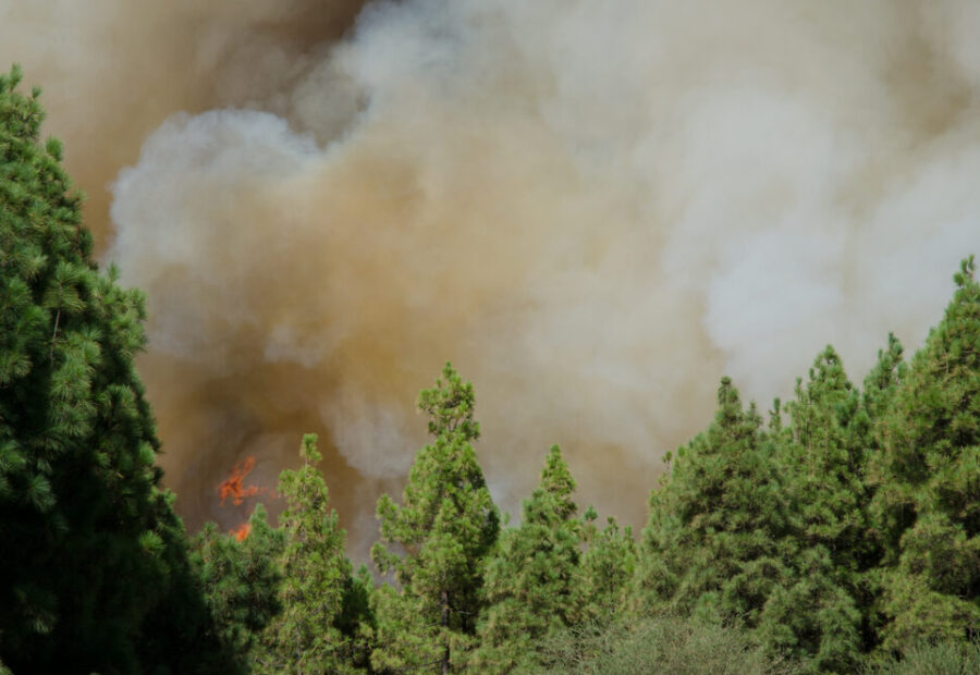 Incendi in Gironda