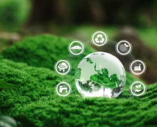 Eco Festival a Roma