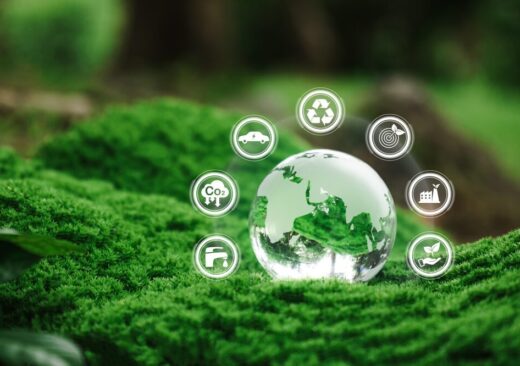 Eco Festival a Roma