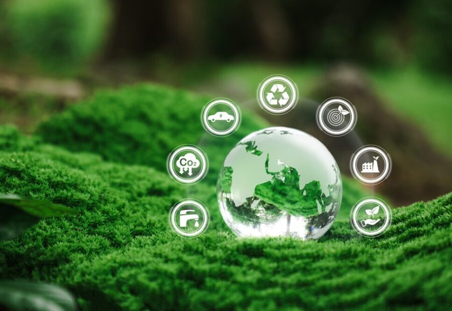 Eco Festival a Roma