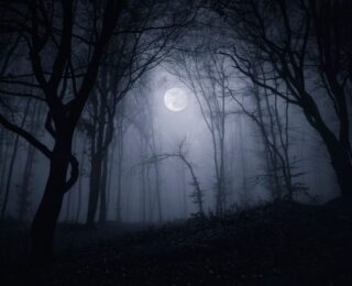 Silent Hill: Townfall - Immersione e stealth nel nuovo capitolo