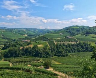 Sacchi Beer Fest a Cuneo