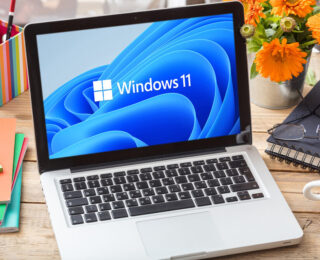 Tiny11 Builder per Windows 11
