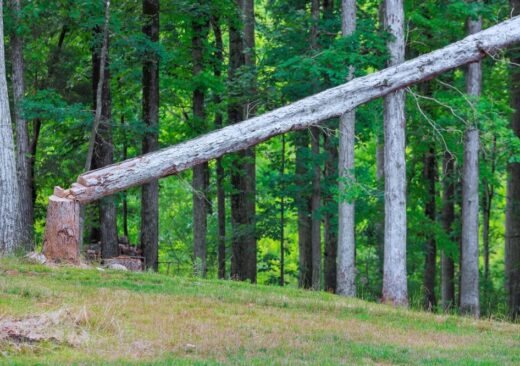 Aumento dei costi produttivi per i pannelli in legno