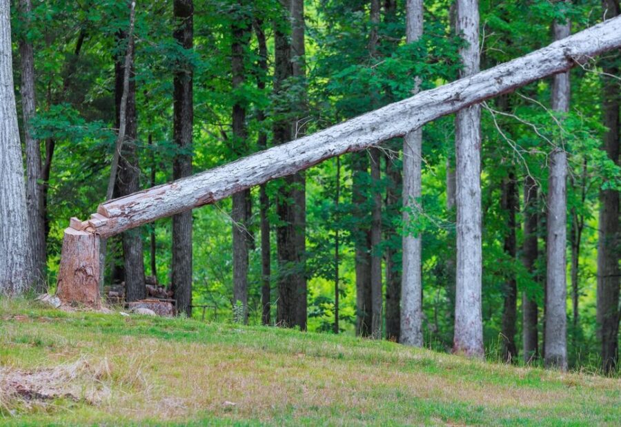 Aumento dei costi produttivi per i pannelli in legno