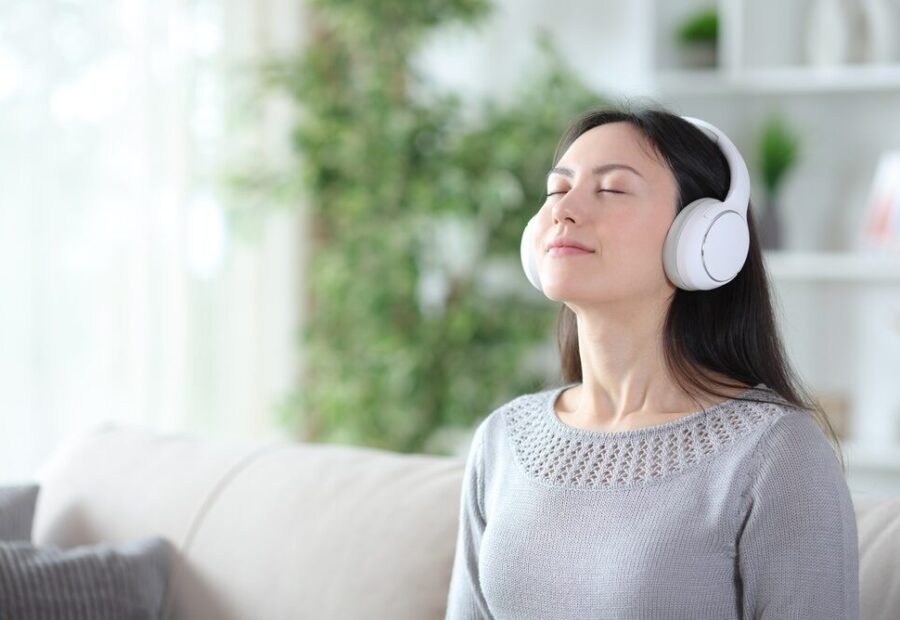 Cuffie Anker Soundcore Q20i